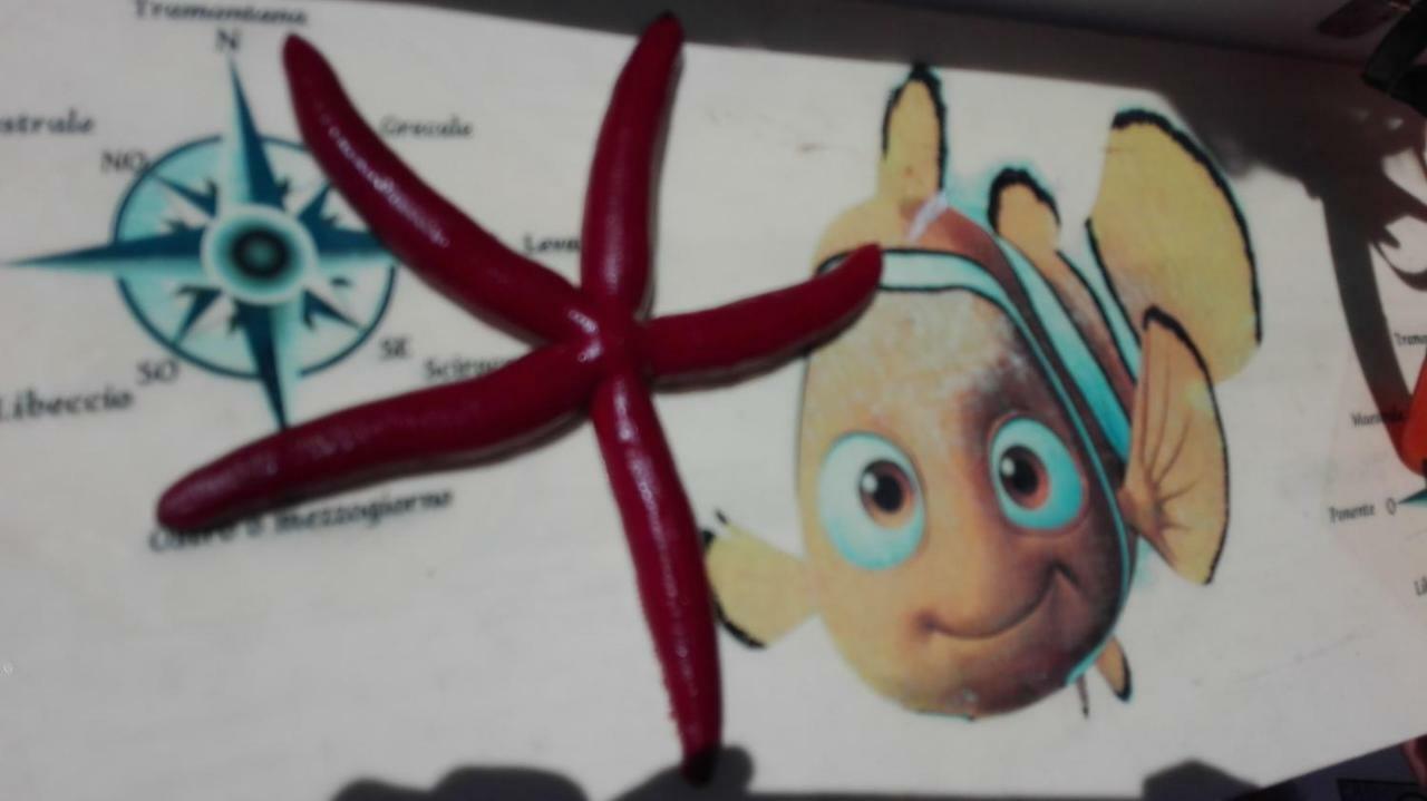 Nemo Mare Lägenhet Lido di Noto Exteriör bild