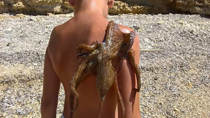 Nemo Mare Lägenhet Lido di Noto Exteriör bild